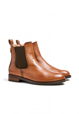 LLOYD ANKLE BOOTS Brown | QVJ298071