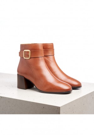 LLOYD ANKLE BOOTS Brown | TRO931284