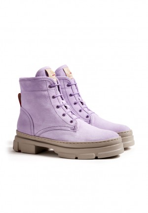 LLOYD ANKLE BOOTS Purple | WXH894520