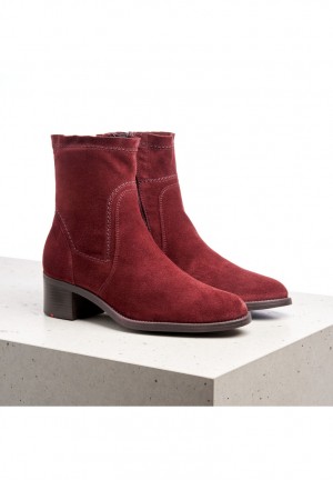 LLOYD ANKLE BOOTS Red | LGI514379