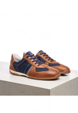 LLOYD BAILEY Navy / Brown | PZY048579