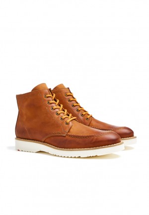 LLOYD DEBAR Brown | YZK054392