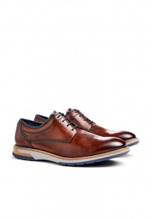 LLOYD DERO Brown | UWL451286