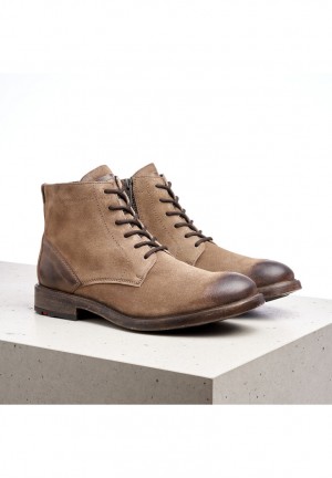 LLOYD DUAL Brown | OTU045278