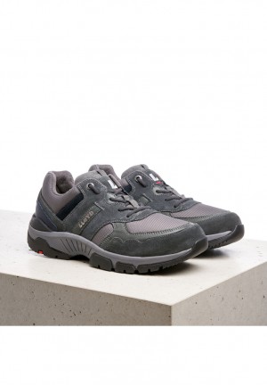 LLOYD ERCO Grey | CQG408697