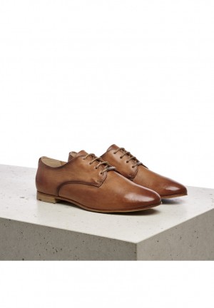 LLOYD HALF SHOES Brown | DFU172938