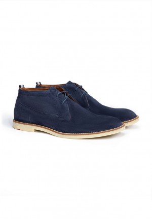 LLOYD INGHAM Blue | ECL851230