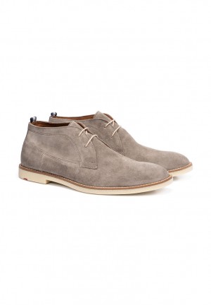 LLOYD INGHAM Grey | SOW940786