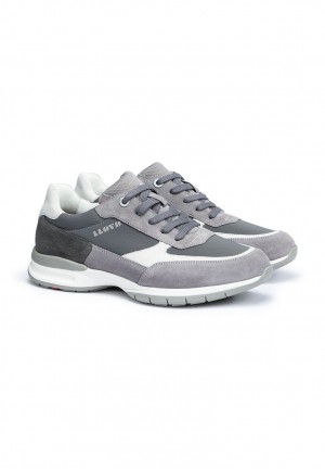 LLOYD KAPTUR Grey | YDR405813