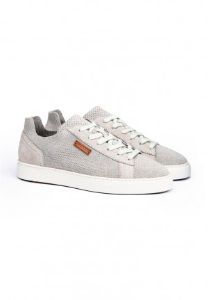 LLOYD MACON Grey | ZLS521740