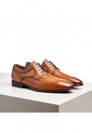 LLOYD MADISON Brown | VSF382491