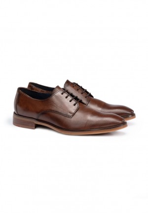 LLOYD OLOT Brown | ESH950423