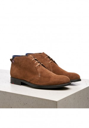 LLOYD PATRIOT Brown | AVC017296