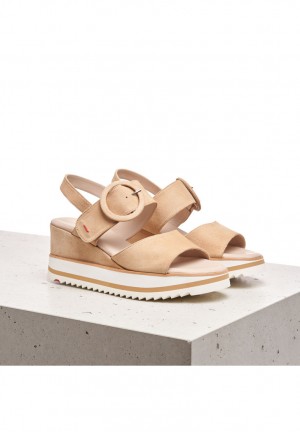 LLOYD SANDALE Beige | LVF195863