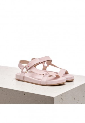 LLOYD SANDALE Pink | CHJ014679