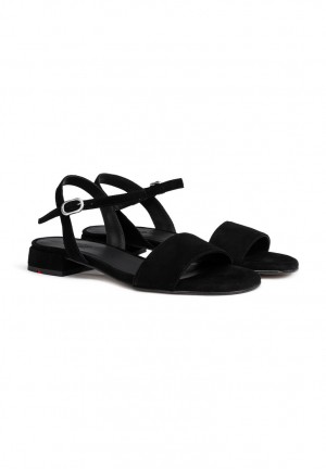 LLOYD SANDALS Black | YJM819205