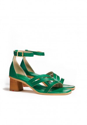 LLOYD SANDALS Green | XZD497850