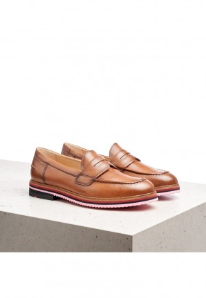 LLOYD SLIPPER Brown | FHV087329