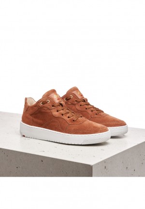 LLOYD SNEAKERS Brown | MEA743210