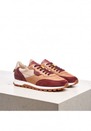 LLOYD SNEAKERS Brown / Red | VXH856301