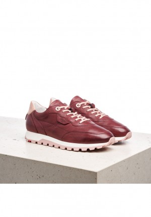 LLOYD SNEAKERS Red | ISW058749