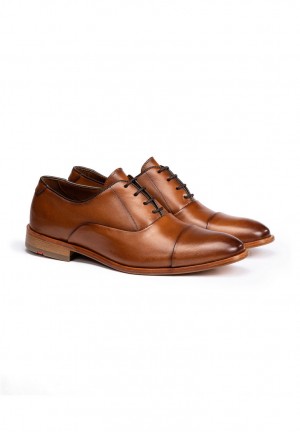 LLOYD TEX Brown | GCV497601