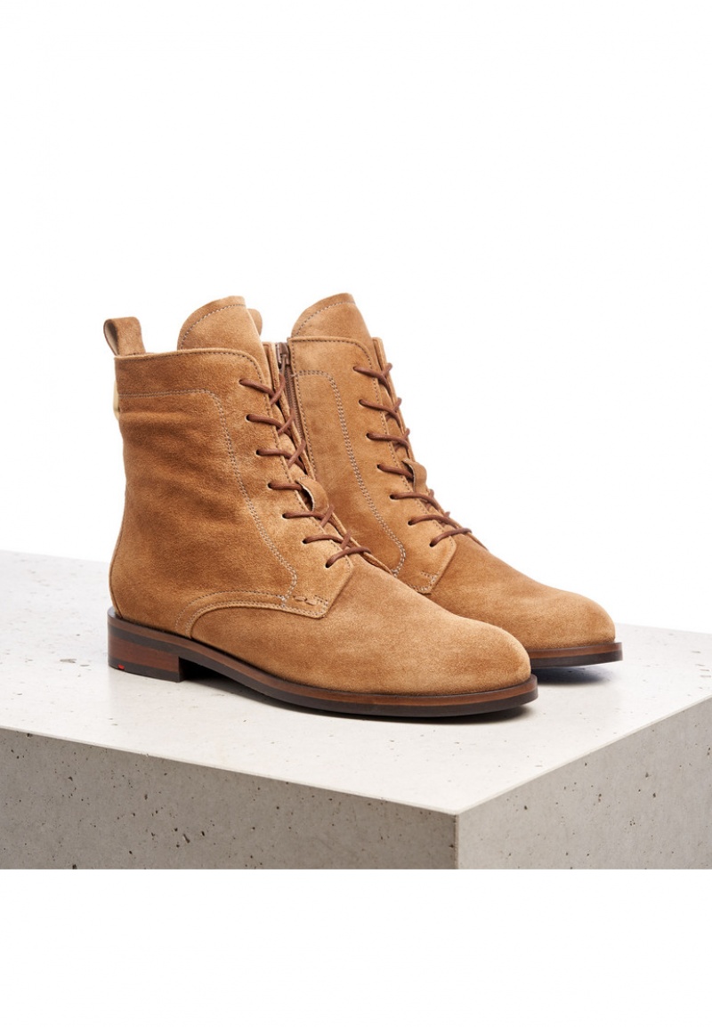 LLOYD ANKLE BOOTS Brown | YCO983570