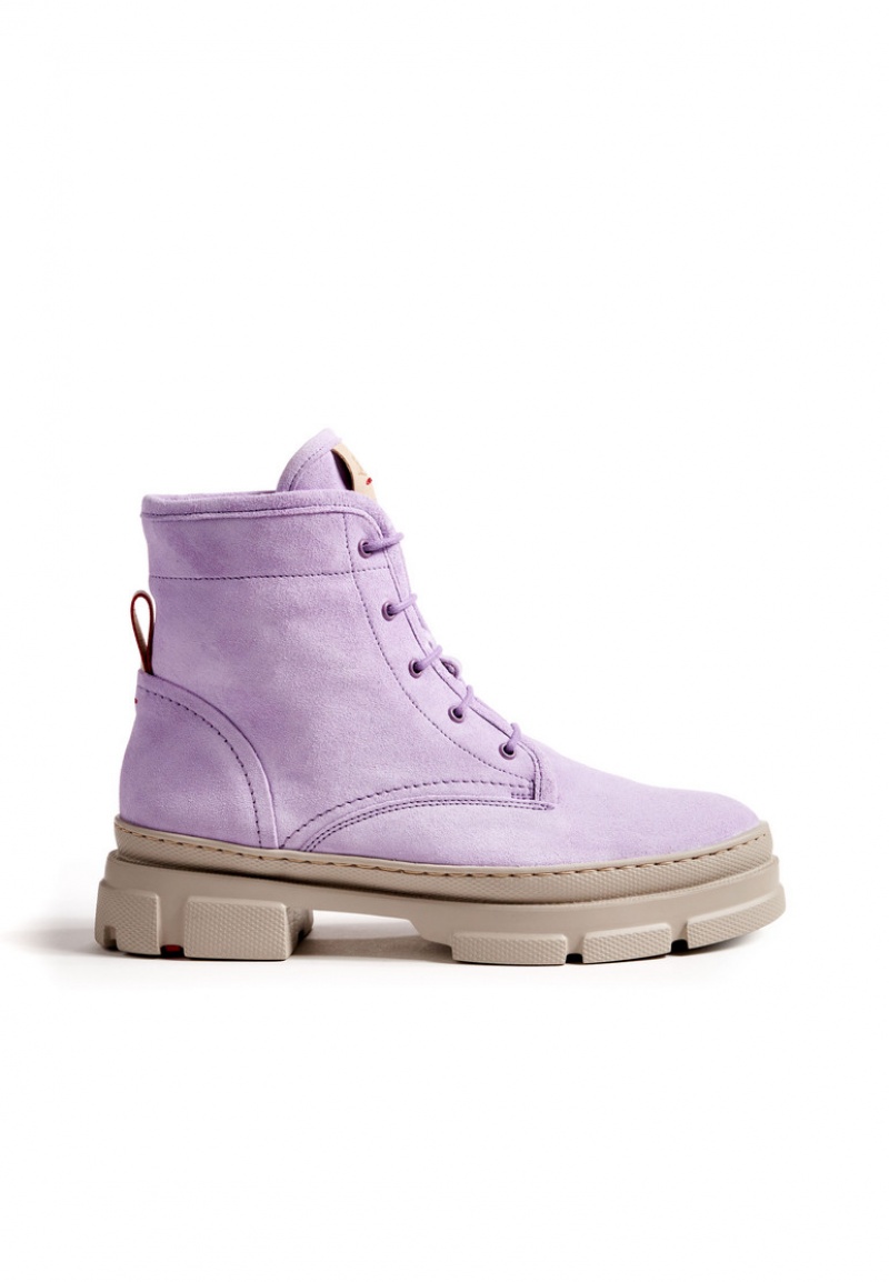 LLOYD ANKLE BOOTS Purple | WXH894520