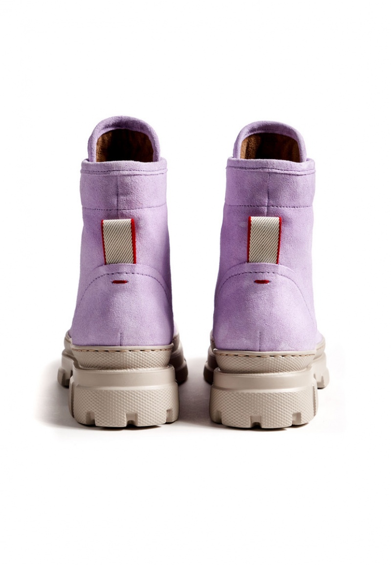 LLOYD ANKLE BOOTS Purple | WXH894520