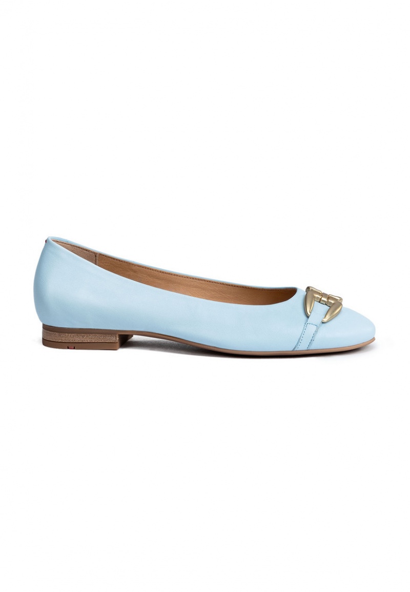 LLOYD BALLERINA Blue | UBD034217