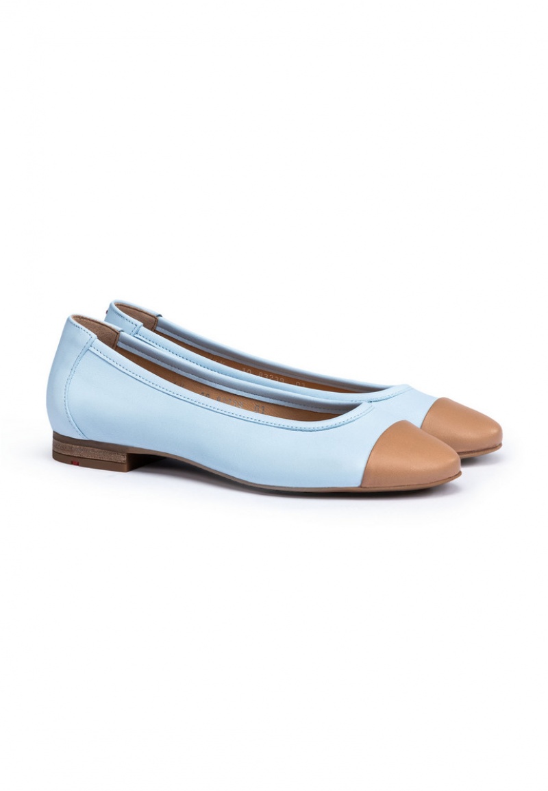 LLOYD BALLERINA Brown | BCF374268