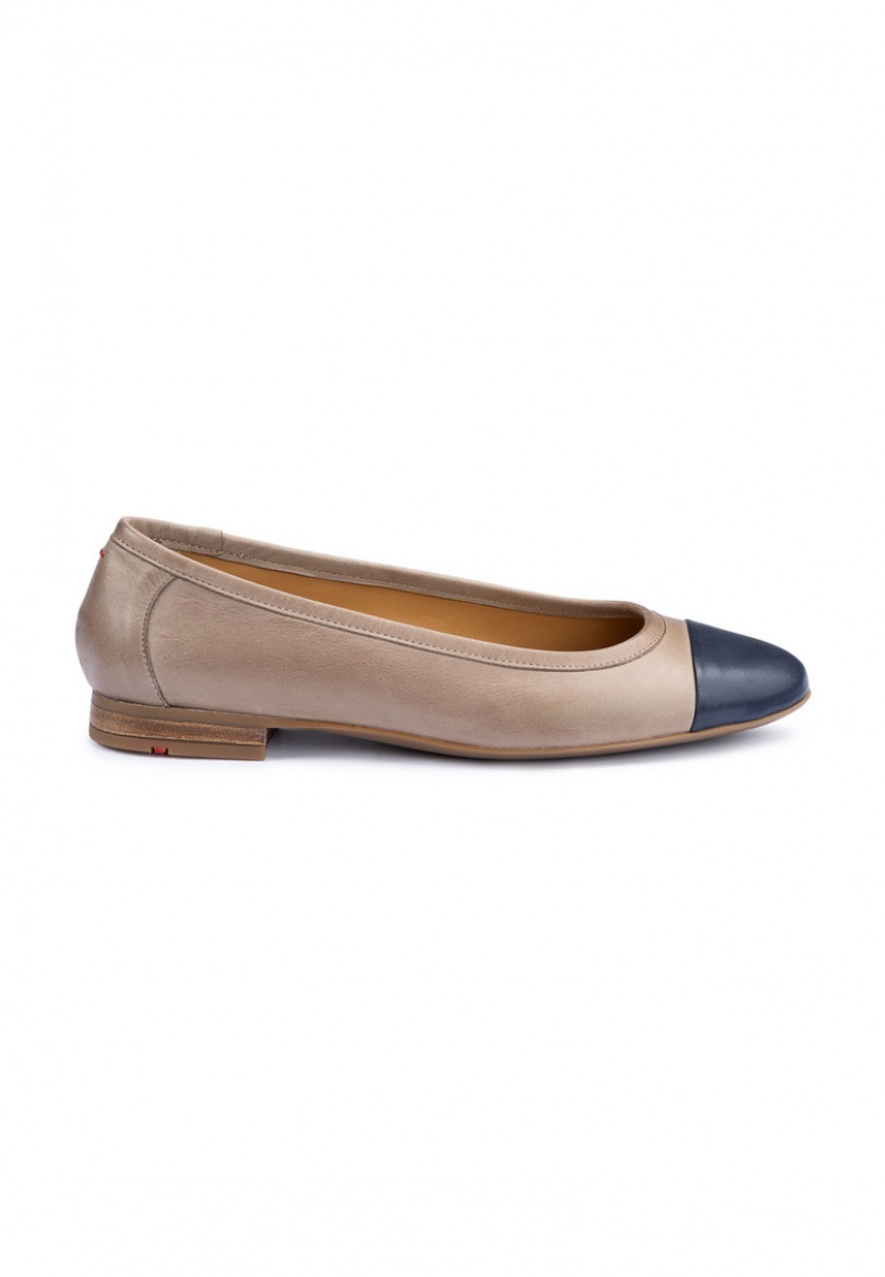 LLOYD BALLERINA Brown | VDE690718