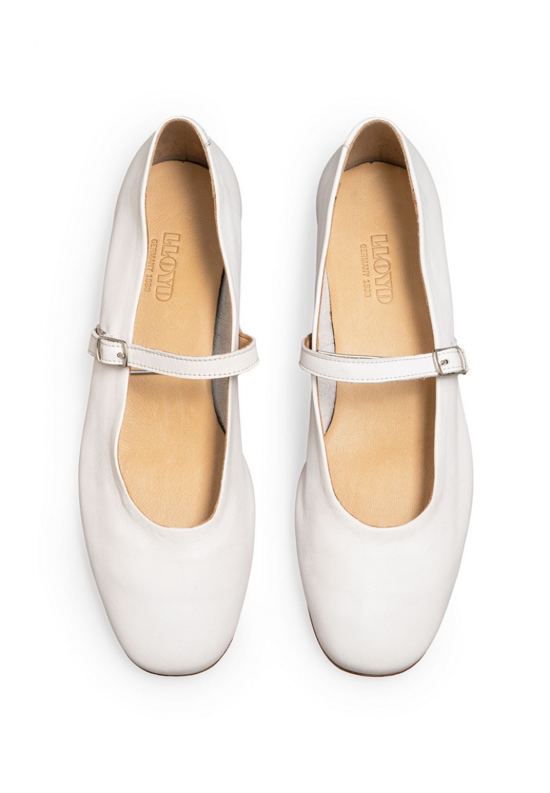 LLOYD BALLERINA White | PKM057681