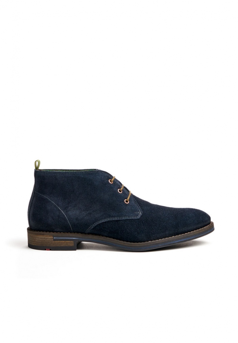 LLOYD DARTMOOR Blue | DXH501648