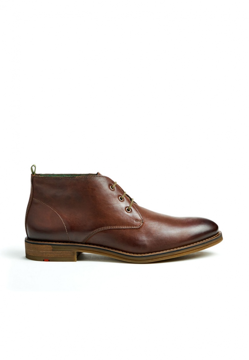 LLOYD DARTMOOR Brown | RZI270631