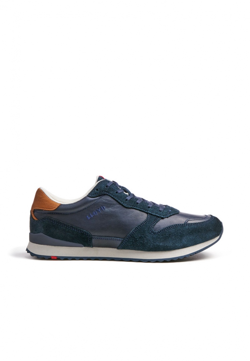 LLOYD EDMOND Blue | HYW827105