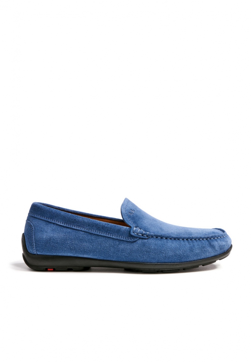 LLOYD EMILIO Blue | CYP128309