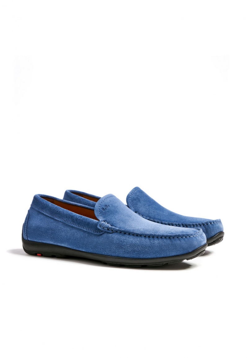 LLOYD EMILIO Blue | CYP128309