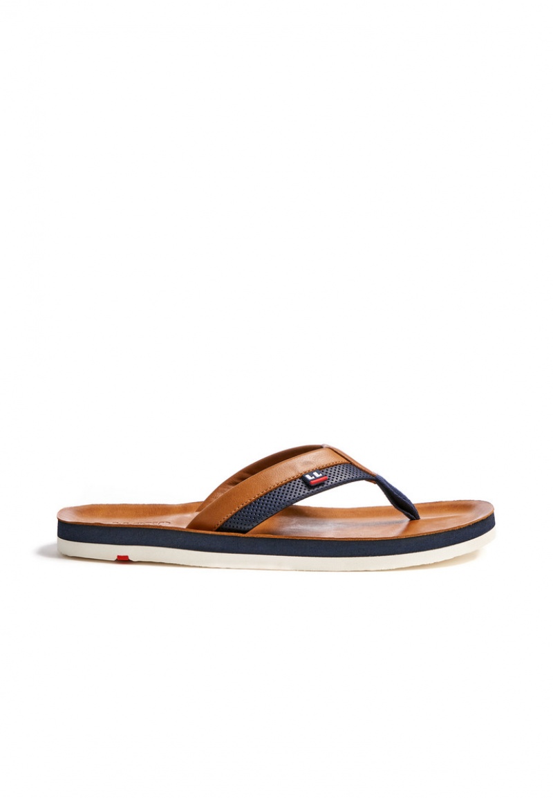 LLOYD FLIP FLOP Brown | WRL704289