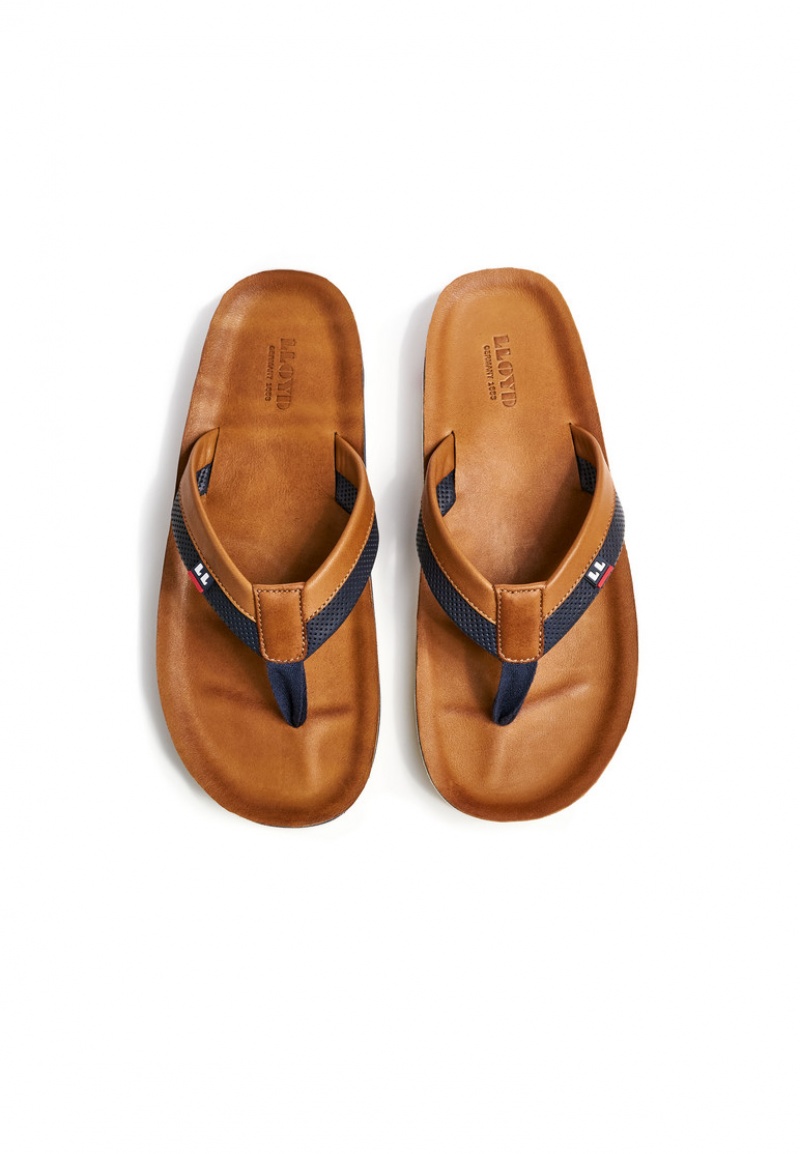 LLOYD FLIP FLOP Brown | WRL704289