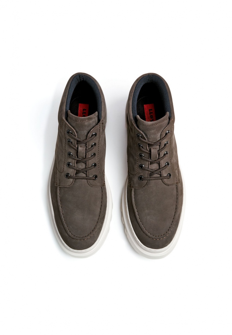 LLOYD FORMAN Brown | BXK970825