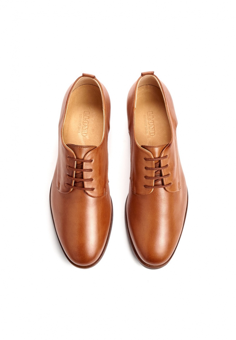 LLOYD HALF SHOES Brown | FVN681534