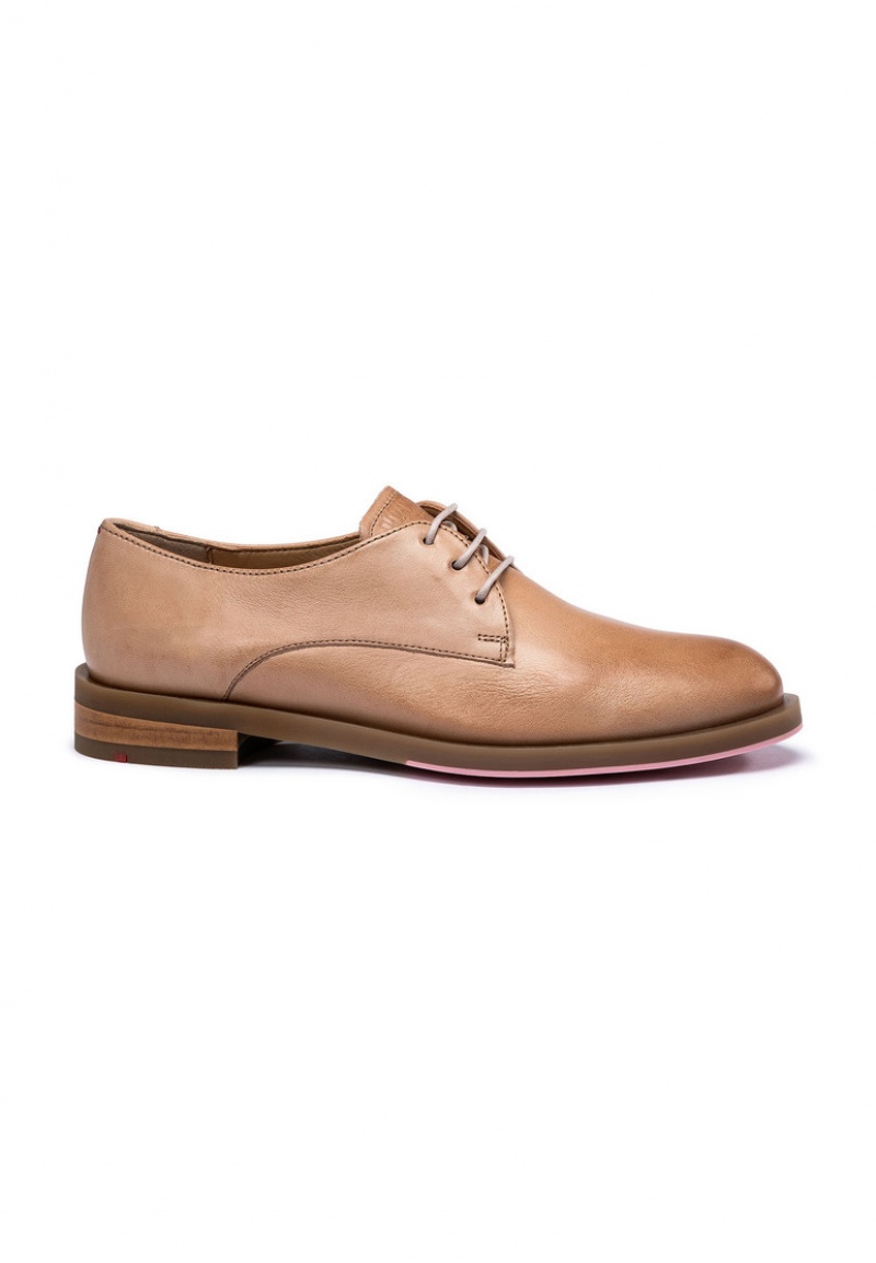 LLOYD HALF SHOES Brown | ODQ782391