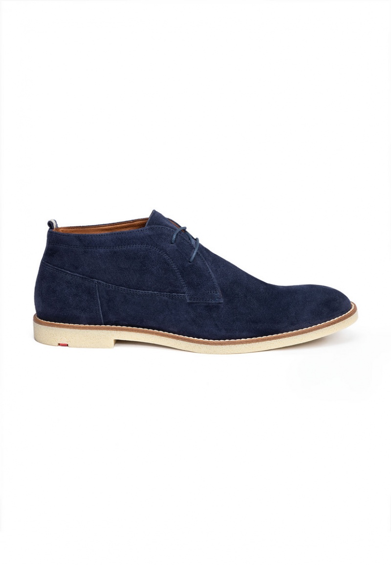 LLOYD INGHAM Blue | ECL851230