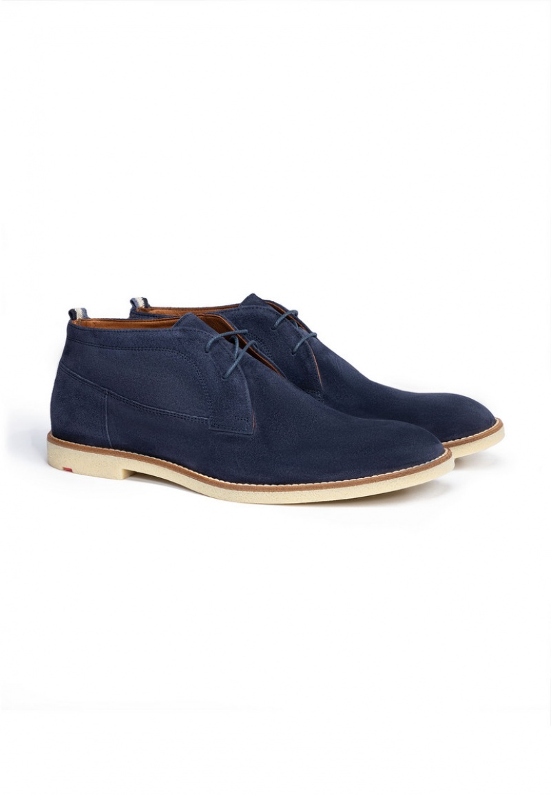 LLOYD INGHAM Blue | ECL851230