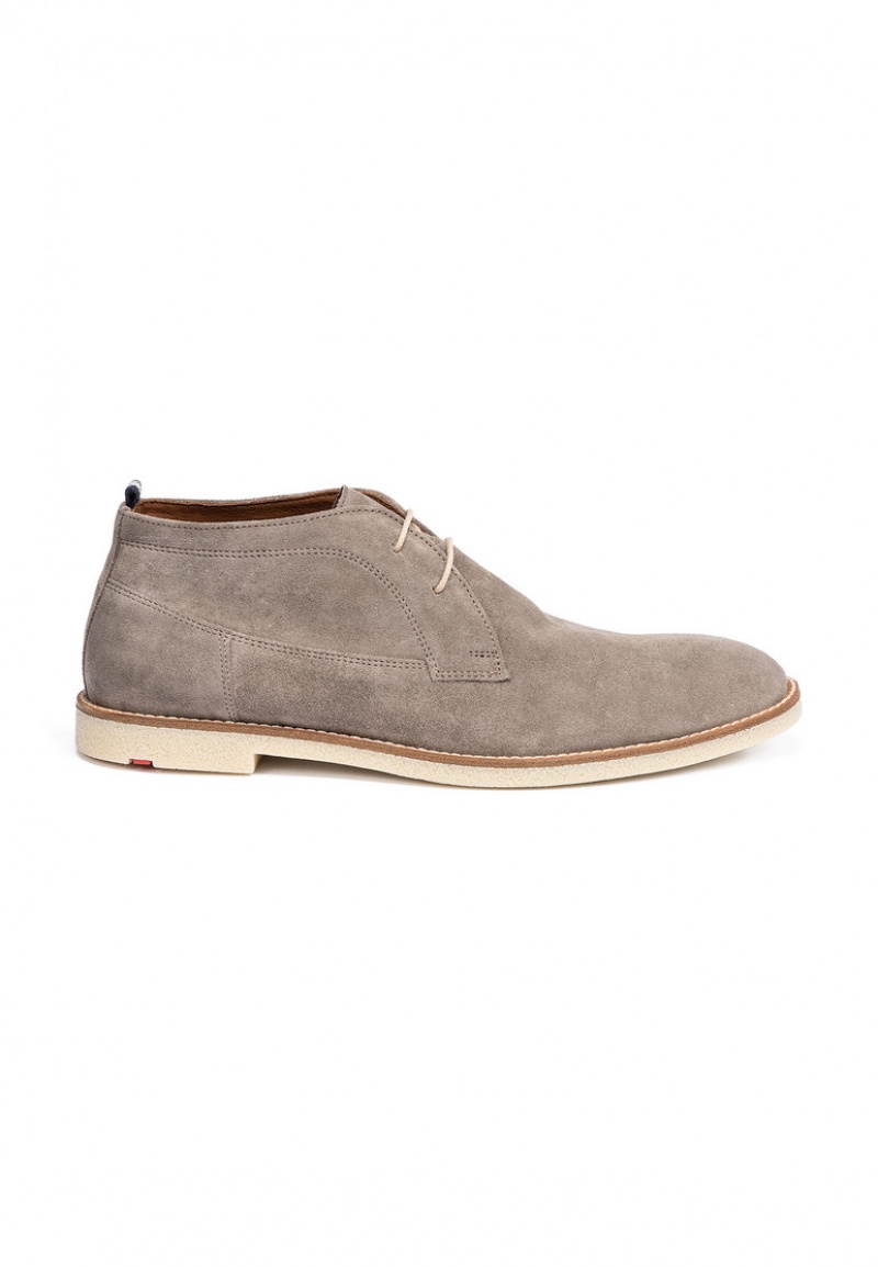 LLOYD INGHAM Grey | SOW940786