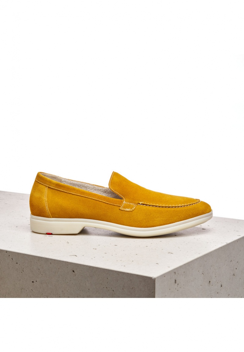 LLOYD JOHN Yellow | PNX738624