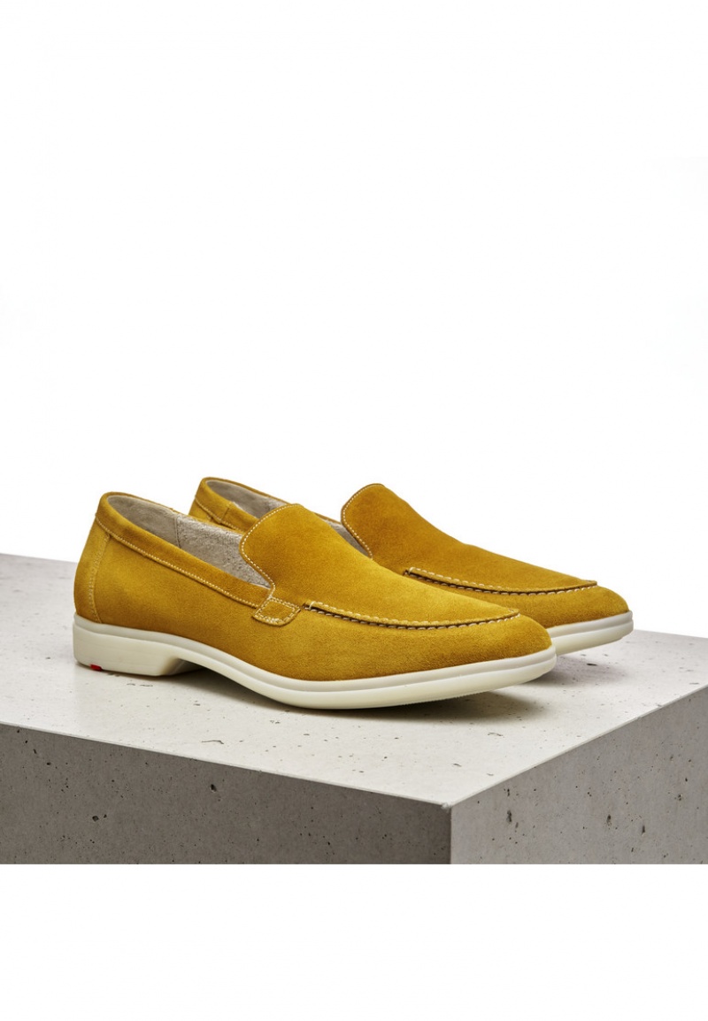 LLOYD JOHN Yellow | PNX738624