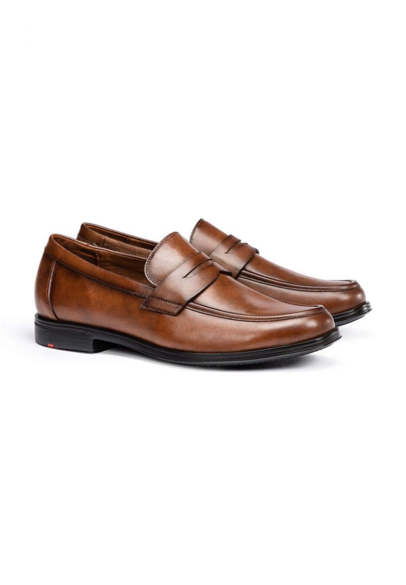 LLOYD KAIRO Brown | OVQ178946