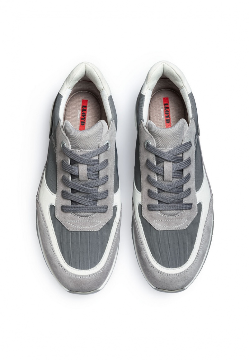 LLOYD KAPTUR Grey | YDR405813